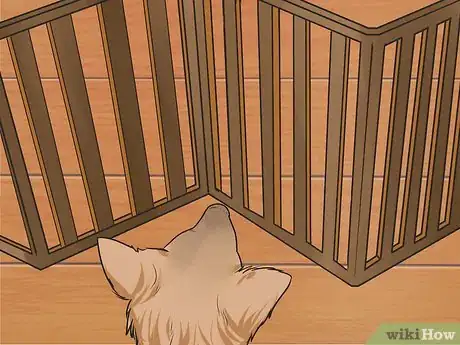 Image titled Train Your Dog from Running out of Your House Step 9