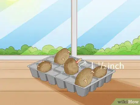 Image titled Plant Potatoes Step 5