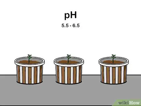 Image titled Grow Hydroponic Lettuce Step 13