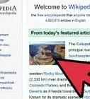 Change the Language in a Wikipedia