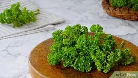 Image titled Preserve Fresh Parsley Step 1