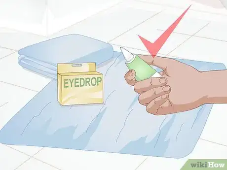 Image titled Apply Medication to a Turtle's Eyes Step 1