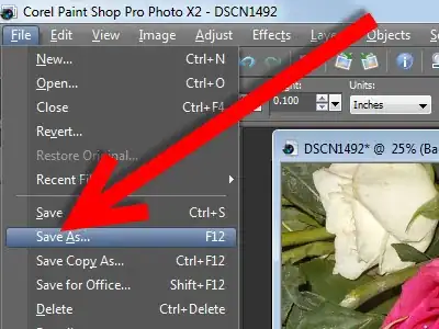 Image titled Create a Transparent PNG File With Paint Shop Pro Step 3