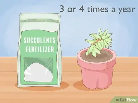 Image titled Fertilize Indoor Plants Step 10