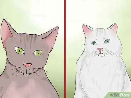 Image titled Choose Shampoo and Conditioner for Your Cat Step 14