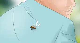 Escape from Killer Bees