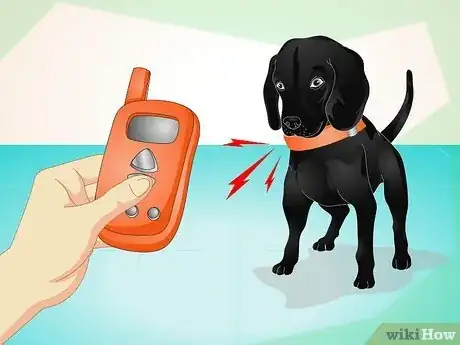 Image titled Use an Electronic Dog Training Collar Step 5