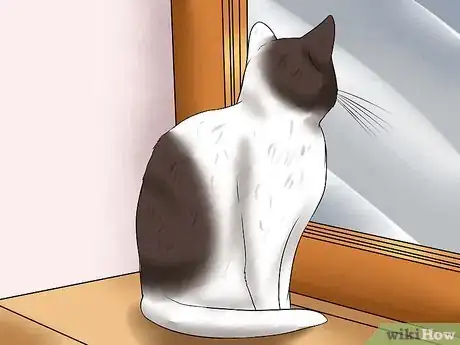 Image titled Care for a Cat with Feline Leukemia Step 11