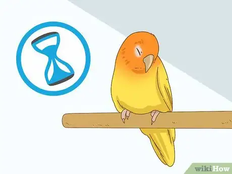 Image titled Keep a Lovebird As a Pet Step 11