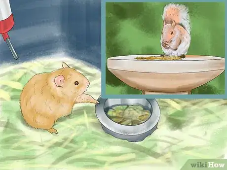 Image titled Get an Overweight Hamster to Lose Weight Step 4