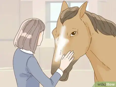 Image titled Calm Your Horse Down Quickly Step 2