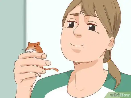 Image titled React when Your Gerbil Bites or Scratches Step 2