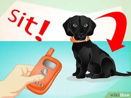 Image titled Use an Electronic Dog Training Collar Step 6