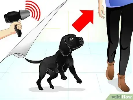 Image titled Raise a Dog Step 13