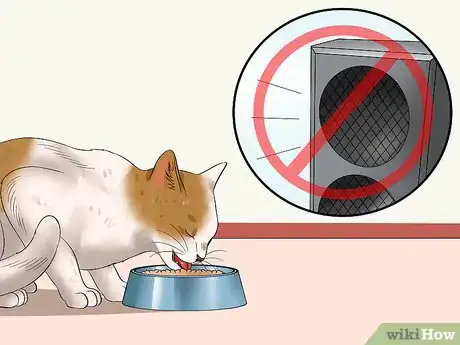 Image titled Ensure That Your Cat Finishes Its Food Step 3