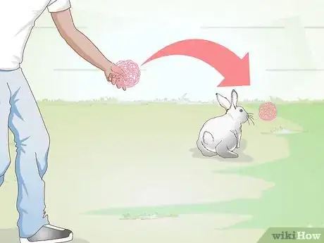 Image titled Exercise Your Rabbit Step 3