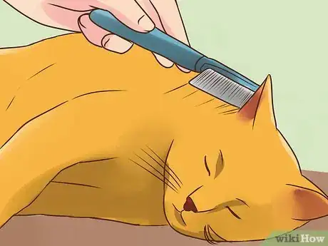 Image titled Treat Lice in Cats Step 12