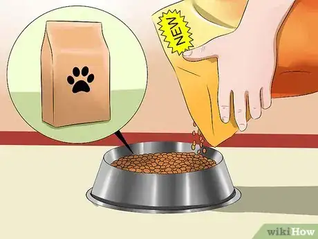 Image titled Get Your Dog to Eat Dry Food Step 6