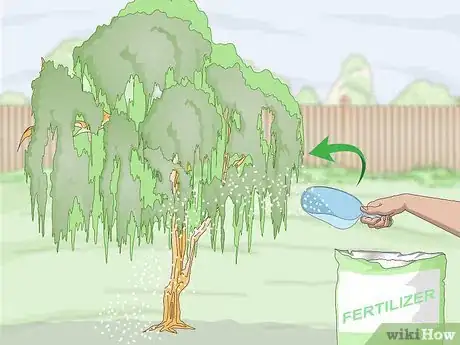 Image titled Fertilize Trees Step 1