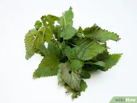 Image titled Make Nettle Tea Step 5