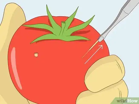 Image titled Practice Surgery Skills on Fruit Step 9