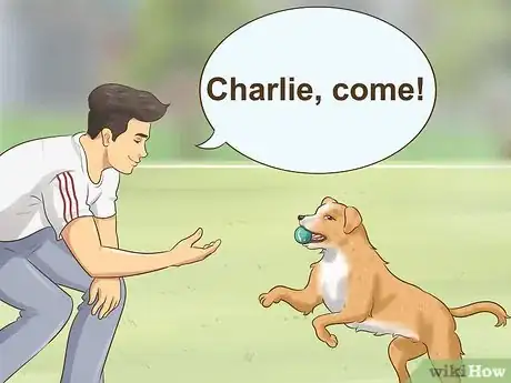 Image titled Train Your New Dog to Respond to a New Name Step 7