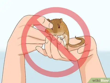 Image titled React when Your Gerbil Bites or Scratches Step 3