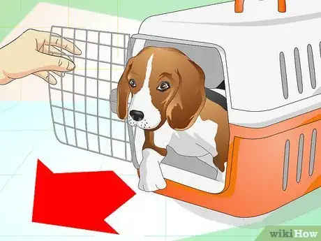 Image titled Keep Your Dog Calm Outside His Crate Step 12