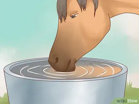 Image titled Take Care of Your Horse Step 9