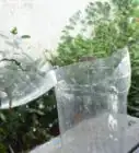 Make a Drip Irrigator from a Plastic Bottle