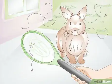 Image titled Prevent Fly Strike in Rabbits Step 12