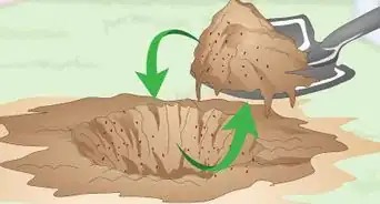 Get Rid of an Ant Hill