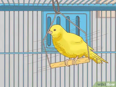 Image titled Care for Your Canary Step 9