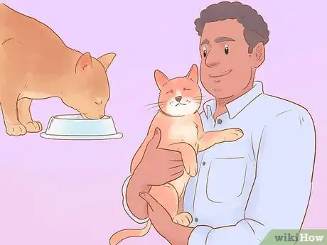 Image titled Administer Insulin to a Cat Step 15