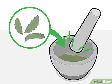 Image titled Harvest Stevia Step 14