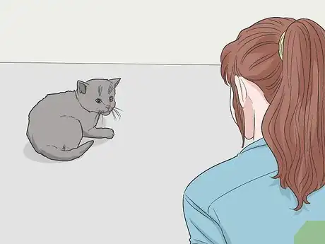 Image titled Convince Your Man to Get a Cat Step 15