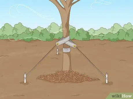 Image titled Replant a Tree Step 15