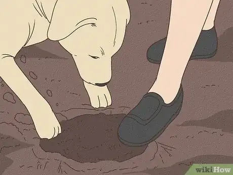 Image titled Why Do Dogs Bury Bones Step 9