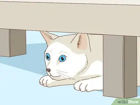 Image titled Tell if Your Cat Is Depressed Step 8