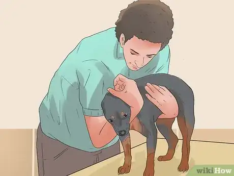 Image titled Pick up a Dog Properly Step 6