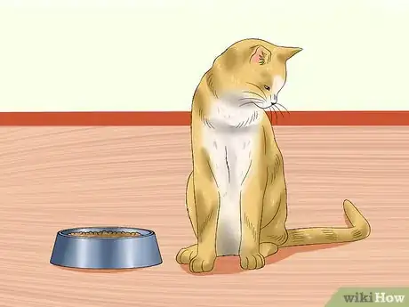 Image titled Ensure That Your Cat Finishes Its Food Step 9