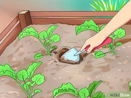 Image titled Water Plants While You're Away Step 18