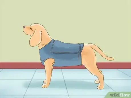 Image titled Reduce Anxiety in Dogs Step 11