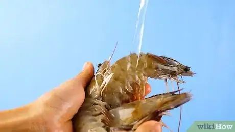 Image titled Clean Shrimp Step 2