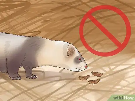 Image titled Deworm a Ferret Step 12