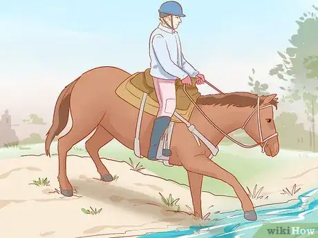 Image titled Avoid Injuries While Falling Off a Horse Step 25