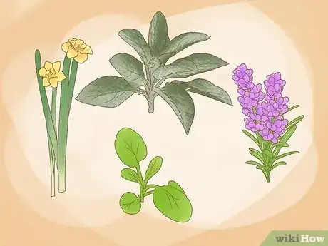Image titled Protect Plants from Animals Step 5