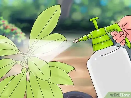 Image titled Make Organic Pesticide Step 17