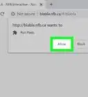 Enable Flash on Chrome