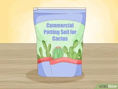 Image titled Grow Cactus in Containers Step 5